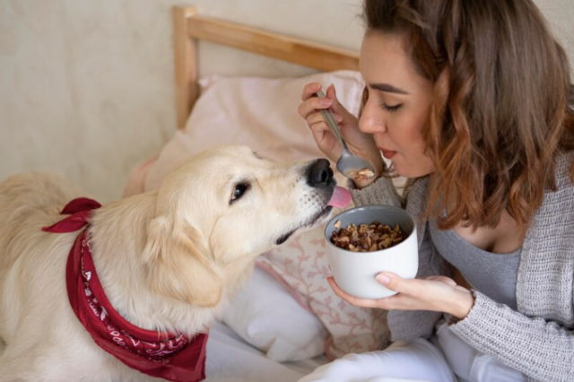 best dog food for golden retrievers