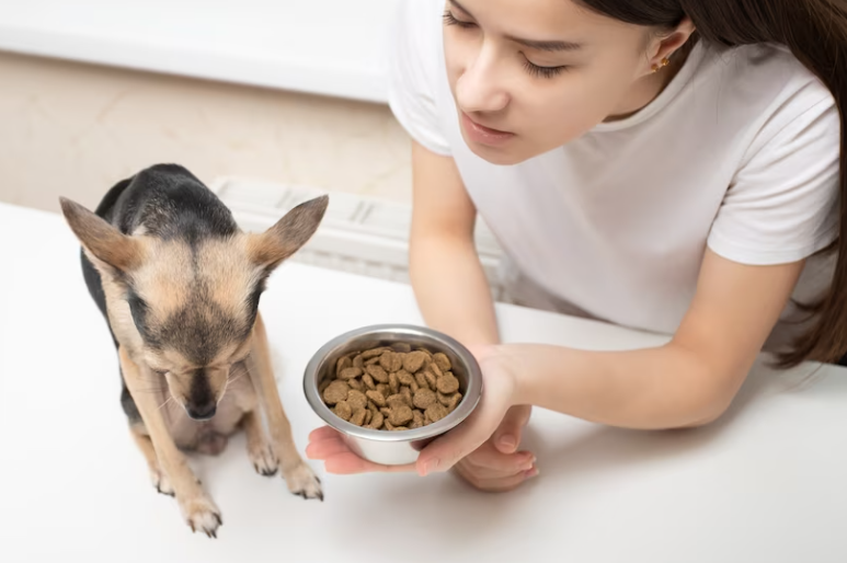 best dog food for husky