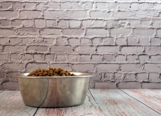 best dog food for pitbulls