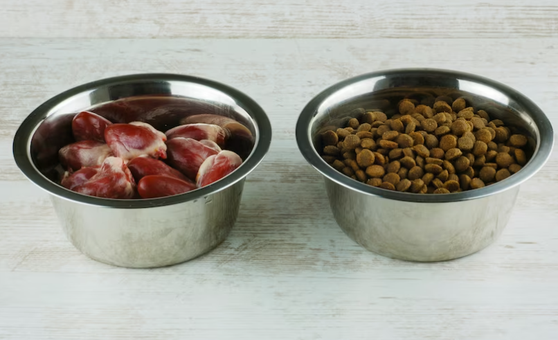 high protein dog food