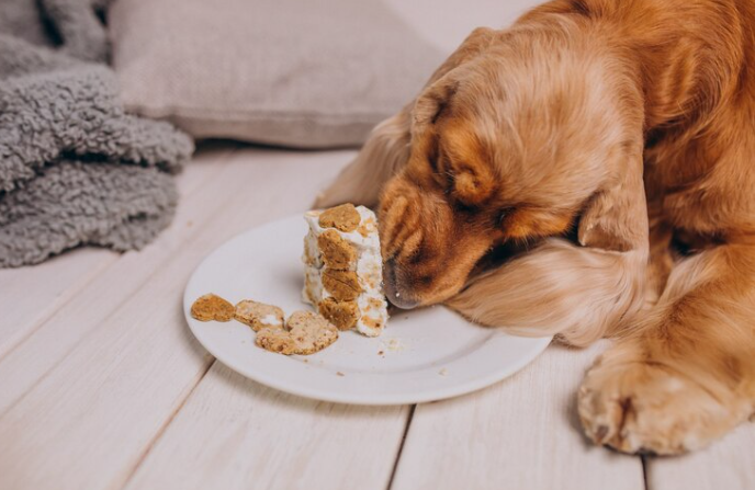 canned dog food for sensitive stomachs