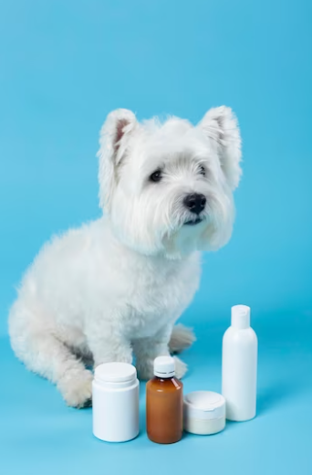 natural dog shampoo