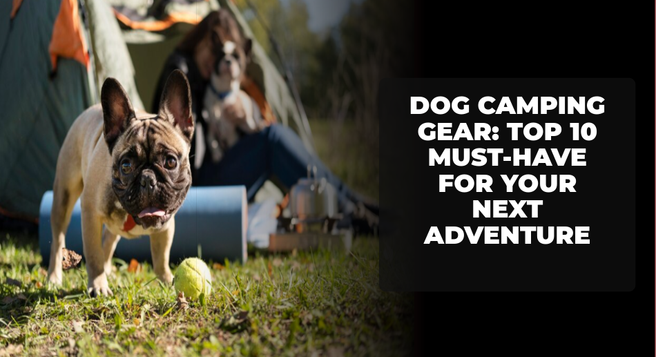 Dog Camping Gear