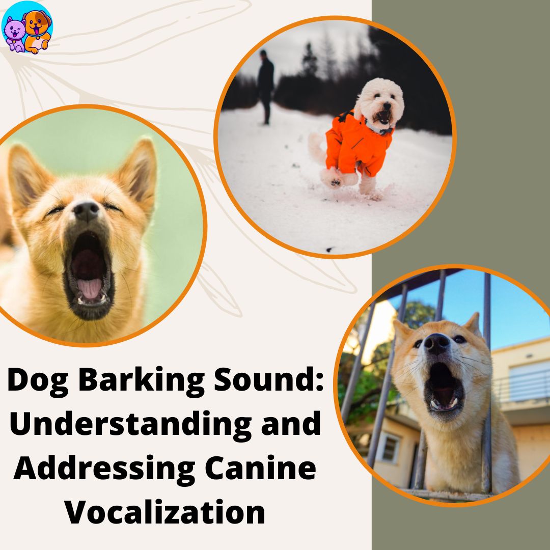Dog Barking Sound