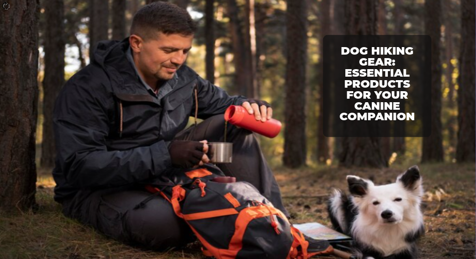 dog hiking gear