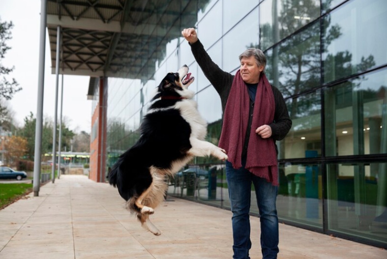 stop a dog from jumping up on guests