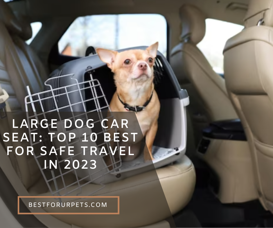 large dog car seat